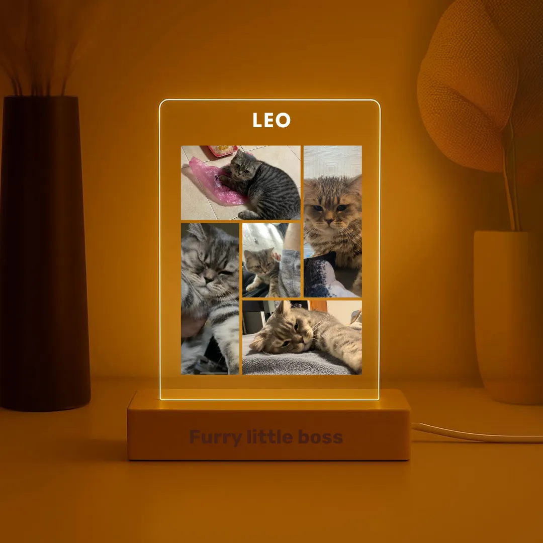 Personalized Pet Night Light - For Your Cat, Dog, or Any Beloved Pet