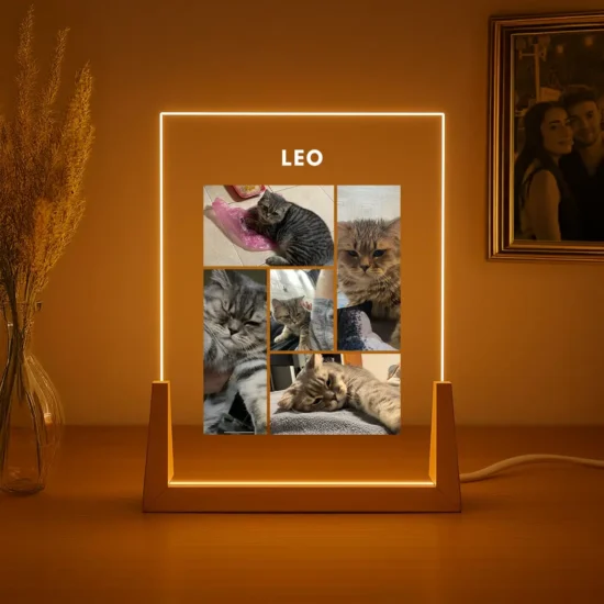 Personalized Pet Lamp – Custom Lamp with Photos and Dedication for Your Cat, Dog, or Any Pet