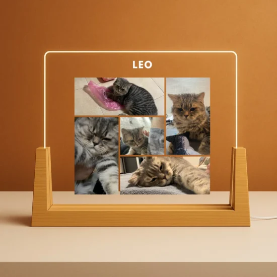 Personalized Memorial/Dedication Lamp for Any Pet - Custom Designed with Landscape Photos