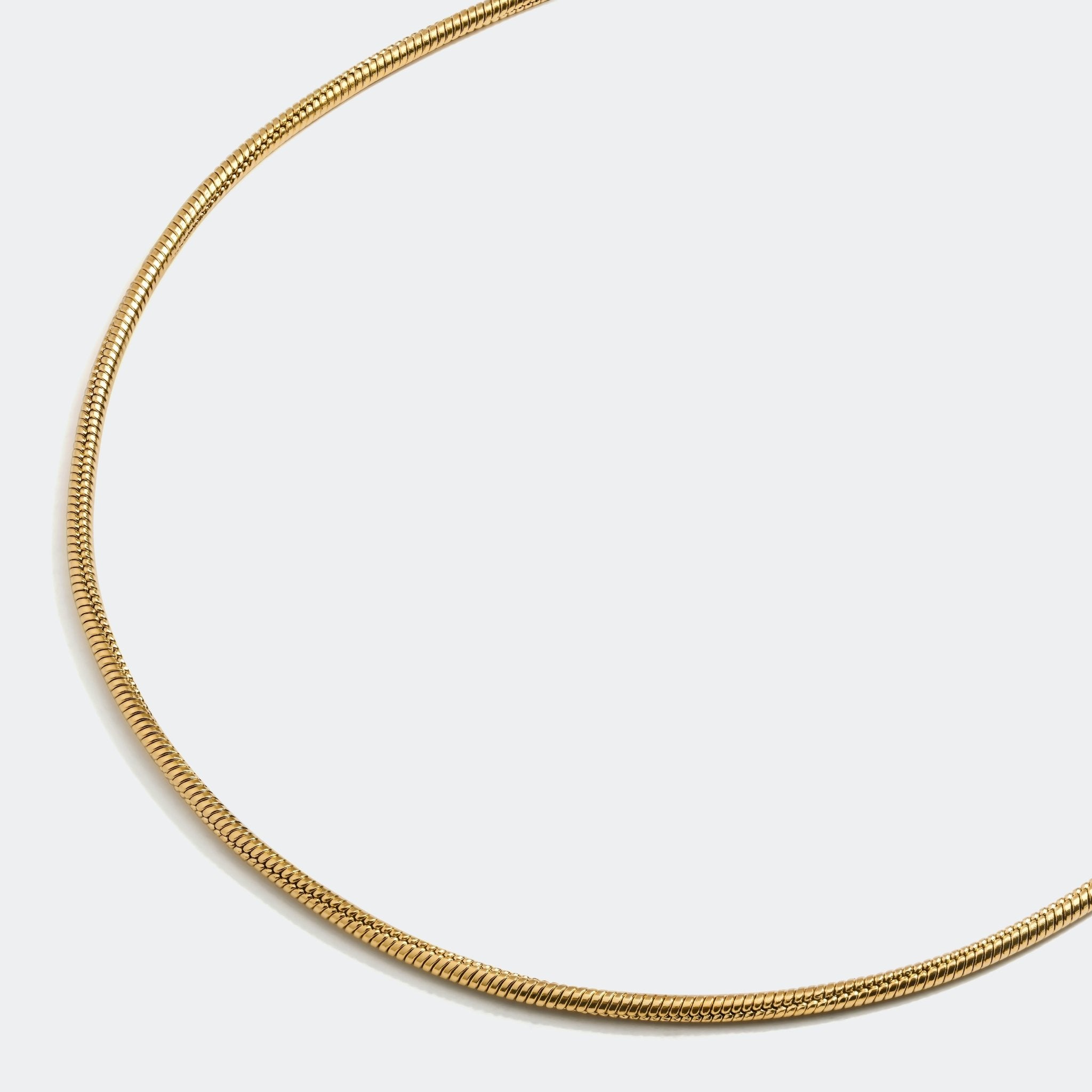 Snake Chain Necklace — Gold - obrazek 3