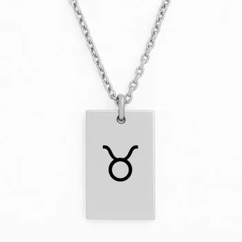 Luxury Stainless Steel Bar Necklace with Your Zodiac Sign